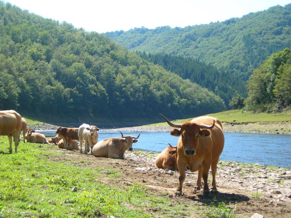 فندق Vvf Aubrac شودز آيْج المظهر الخارجي الصورة
